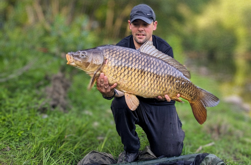 Carpe prise avec bouillette C-tuna Pandpbaits