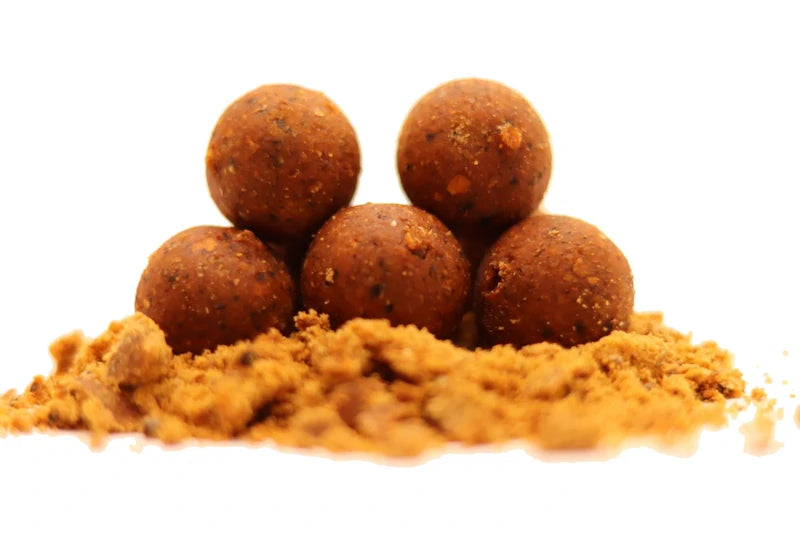 Bouillette Hémorroïde PandP Baits – bouillette épicée au poivre et merguez pour la pêche de la carpe