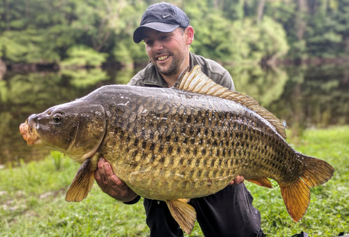 Carpe prise avec bouillette hemoroïde Pandpbaits