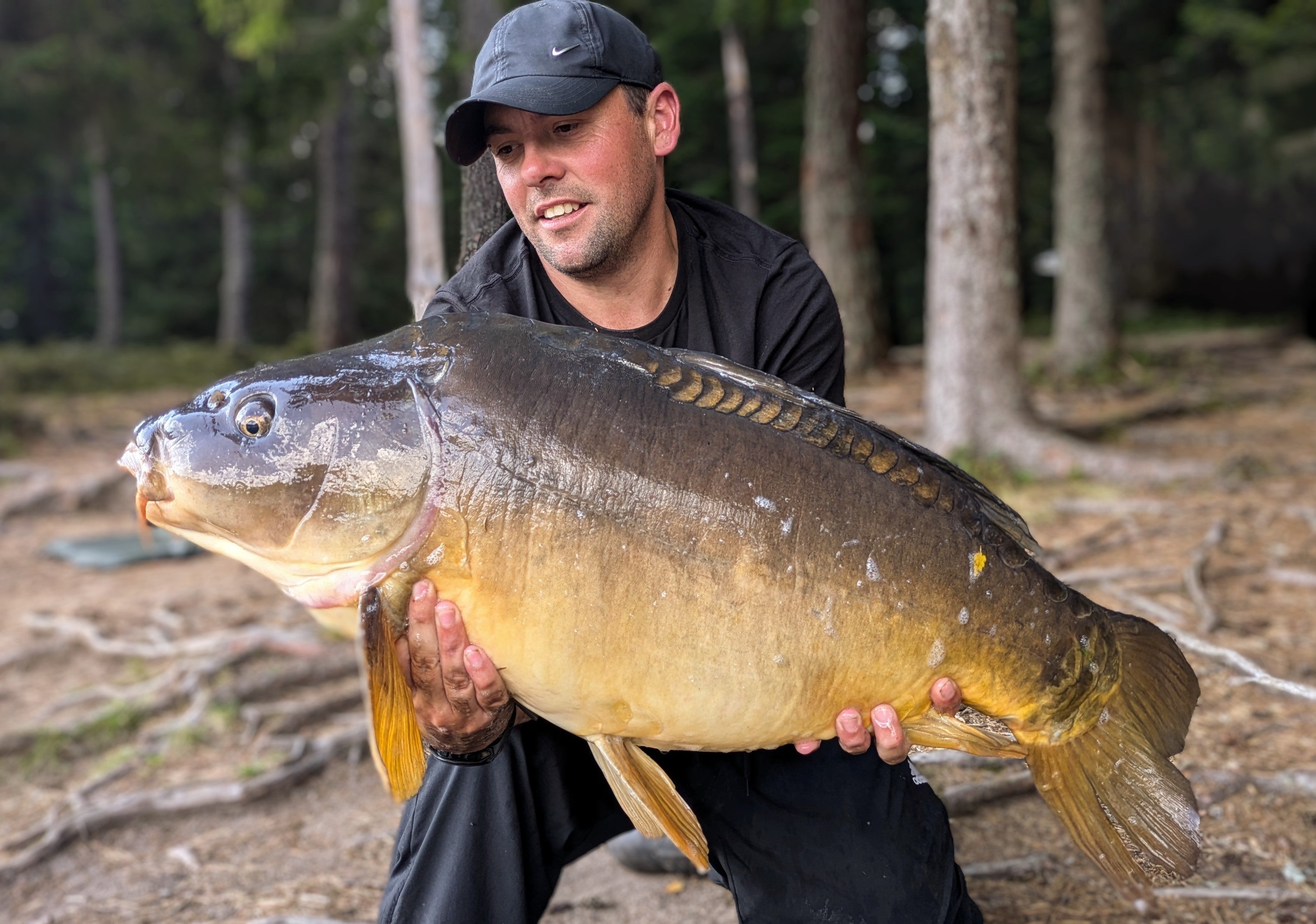 Carpe prise avec bouillette oriental crayfish Pandpbaits