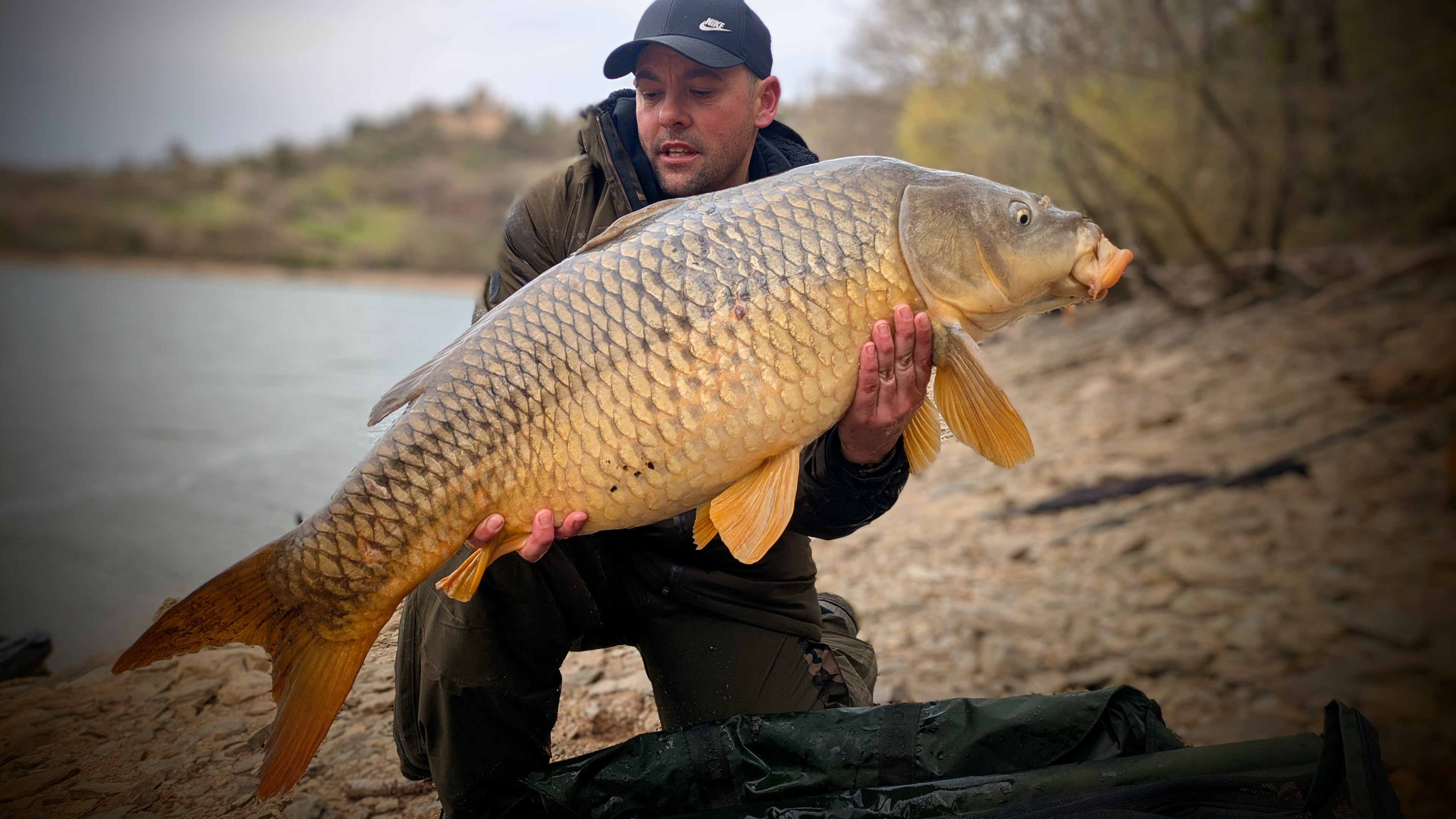 Carpe prise avec bouillette hot Pineapple Pandpbaits