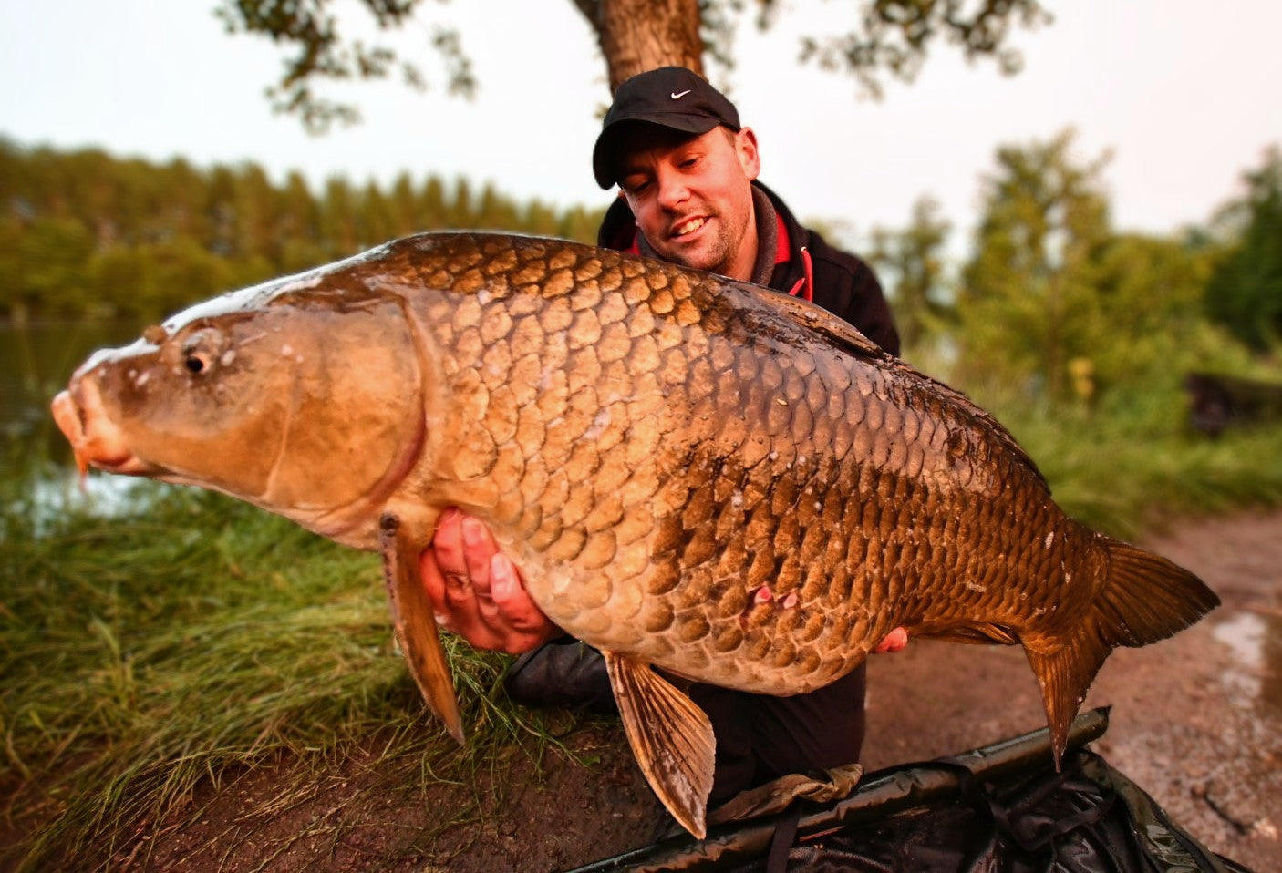 Carpe prise avec bouillette scopex poivre Pandpbaits
